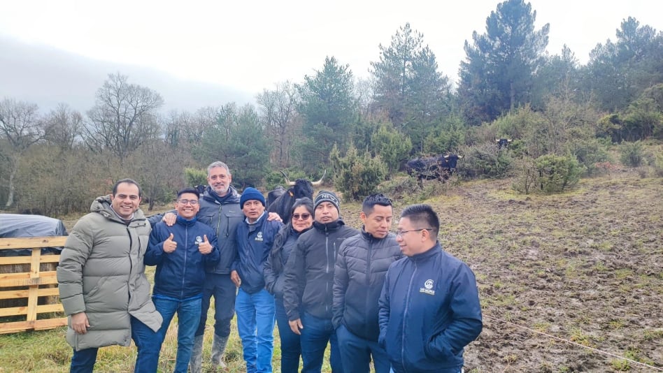 pasantía cooperativas España