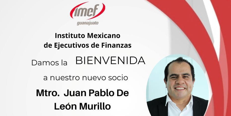 Vicepresidente IMEF